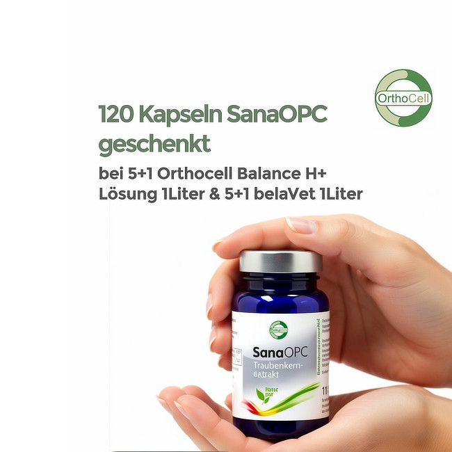 120 Kapseln OPC Geschenkt bei einer 5 + 1 Bestellung der 1 L Flaschen (OH-, H+, belaVet, belaPlus) 