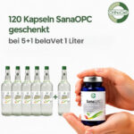 5 plus 1 belaVet