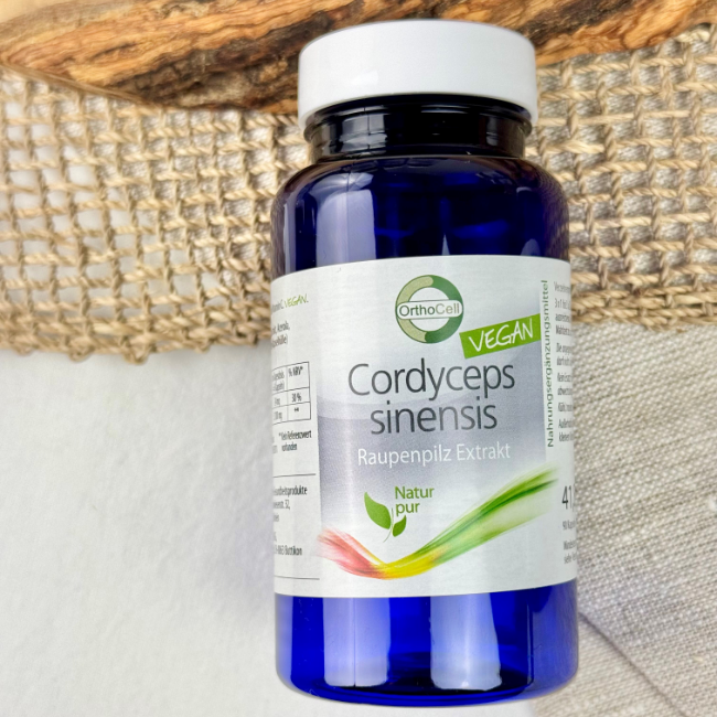 Cordyceps sinensis - Monatsangebot September 